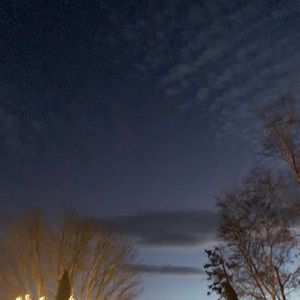 Meet your Posher, Brooklyn